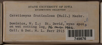 Image Associated With the Occurence
